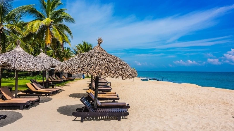 Serene Landscapes at An Bang Beach - Hoi An Photographer